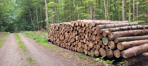 66-Seen-Rundweg Etappe 6: Melchow - Leuenberg