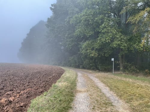 Callenberg Runde von der Ernstfarm über die Hofmannsteiche