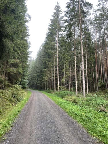 Callenberg Runde von der Ernstfarm über die Hofmannsteiche