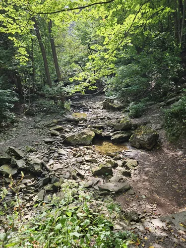 10 Best Waterfall Trails in Hamilton | AllTrails