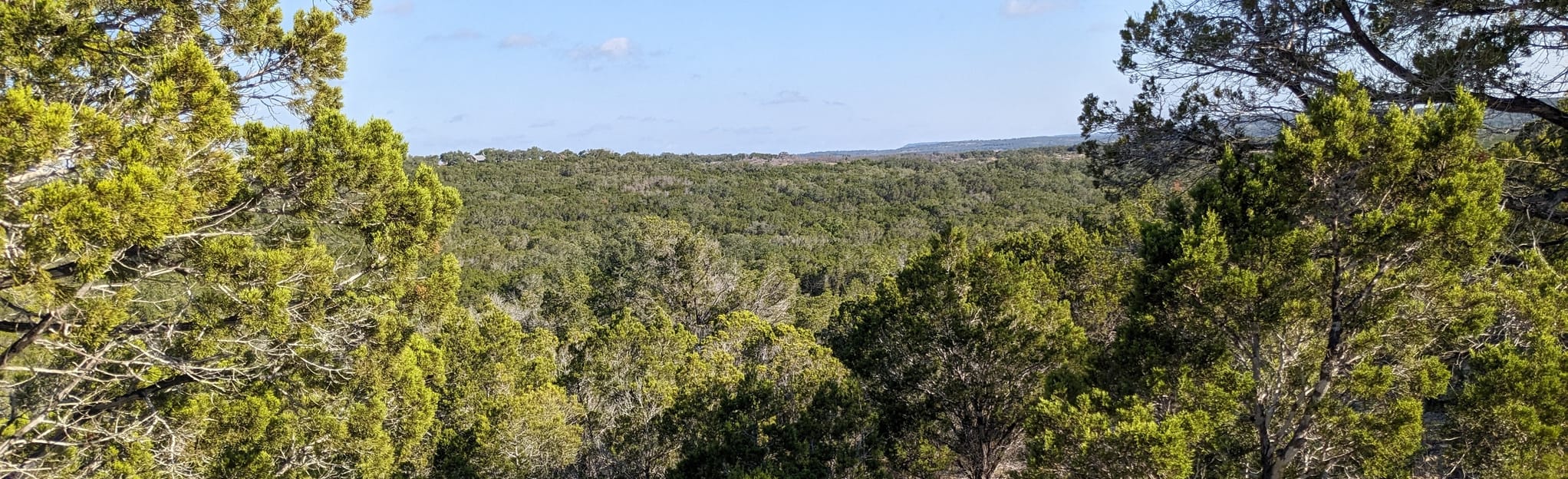 Jones Spring via Wolf Mountain and Juniper Ridge: 781 foto - Texas ...