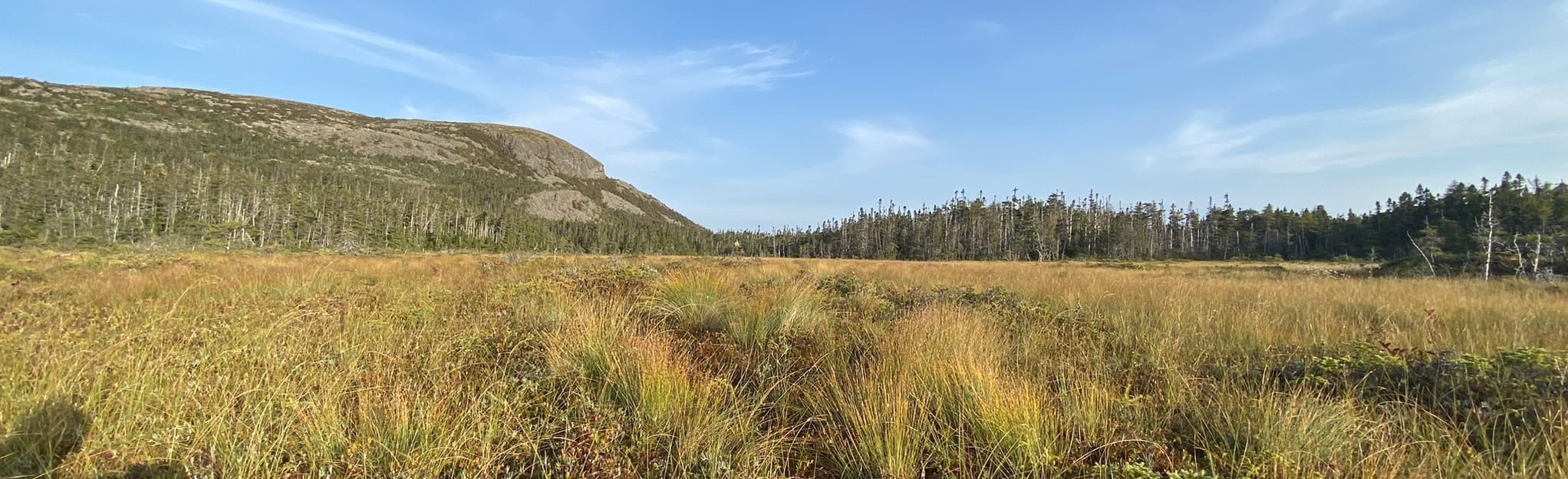 Butterpot Hill via Peters Pond, Newfoundland and Labrador, Canada 17