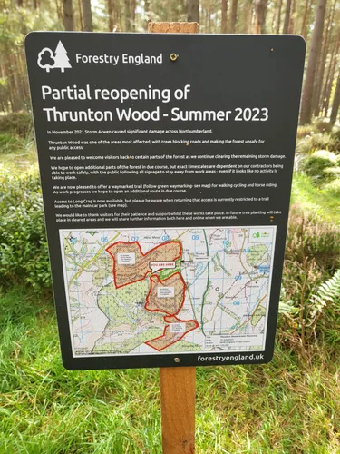 Thrunton discount woods mtb