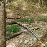 Limestone Gorge Loop, Kentucky - 539 Reviews, Map | AllTrails