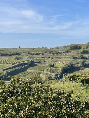 Panoramawegt Augenweide Malterdingen