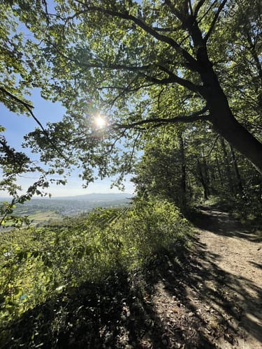 Panoramawegt Augenweide Malterdingen