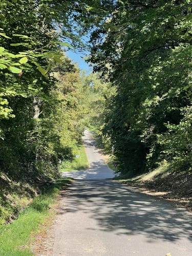 Panoramawegt Augenweide Malterdingen