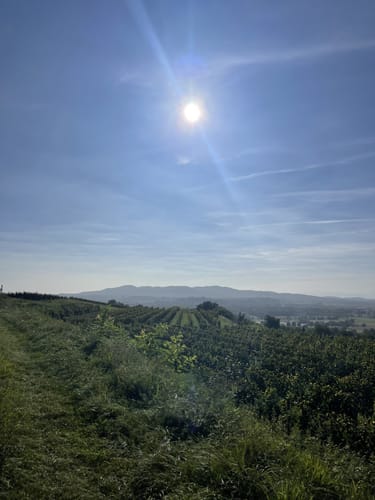 Panoramawegt Augenweide Malterdingen