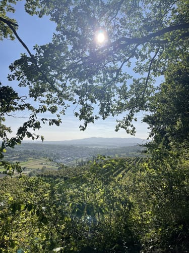 Panoramawegt Augenweide Malterdingen