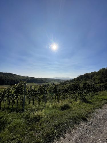 Panoramawegt Augenweide Malterdingen