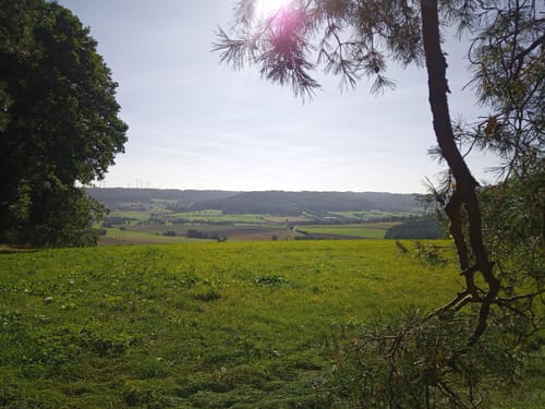 Thalachtal Panoramaweg (Premiumwanderweg)