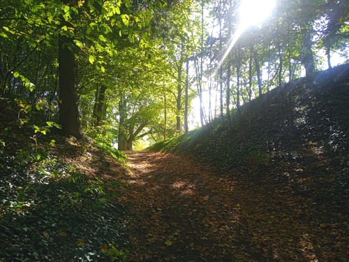 Thalachtal Panoramaweg (Premiumwanderweg)