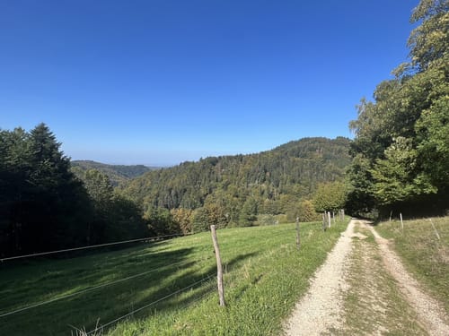 Lebensweg Sankt Ulrich