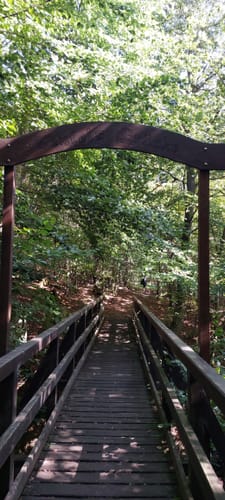 Teufelsbrücke – Elmensee Runde von Nordeck