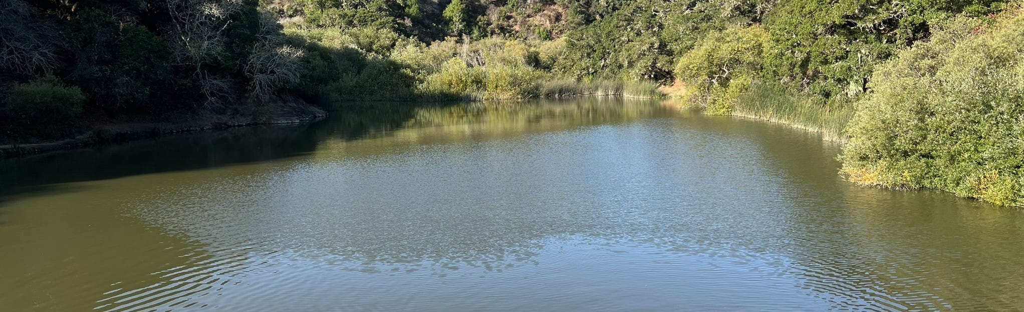 John S Brooks Memorial Trail Loop, California 1,152 Reviews, Map AllTrails