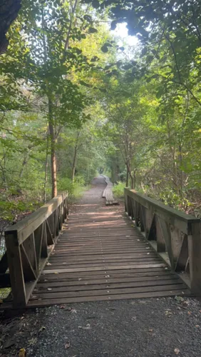 Best Kid Friendly Trails in Waban | AllTrails