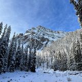 Arnica Lake Trail, Alberta, Canada - 866 Reviews, Map | AllTrails