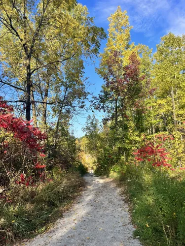 Best Hikes and Trails in Mount Nemo Conservation Area | AllTrails