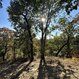 Scotts Gap Loop Trail, Kentucky - 913 Reviews, Map | AllTrails