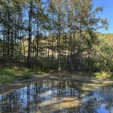 Scotts Gap Loop Trail, Kentucky - 913 Reviews, Map | AllTrails