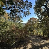 Scotts Gap Loop Trail, Kentucky - 913 Reviews, Map | AllTrails