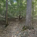 Scotts Gap Loop Trail, Kentucky - 913 Reviews, Map | AllTrails
