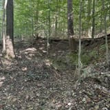 Scotts Gap Loop Trail, Kentucky - 913 Reviews, Map | AllTrails