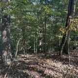 Scotts Gap Loop Trail, Kentucky - 913 Reviews, Map | AllTrails