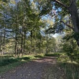 Scotts Gap Loop Trail, Kentucky - 913 Reviews, Map | AllTrails