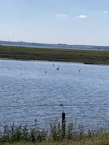 Von Wismar zur Insel Poel