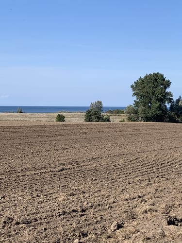 Von Wismar zur Insel Poel