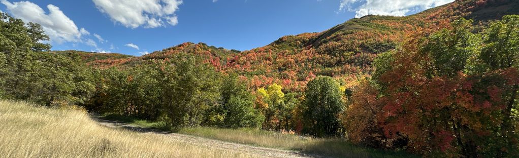 Hiking City Creek Canyon - Salt Lake City - Road Trip Ryan