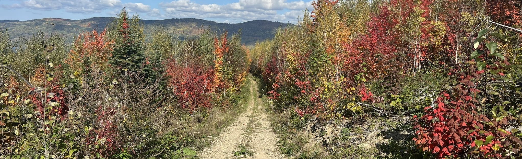 Lake Angus via Mount Climont, Quebec, Canada 5 Reviews, Map AllTrails