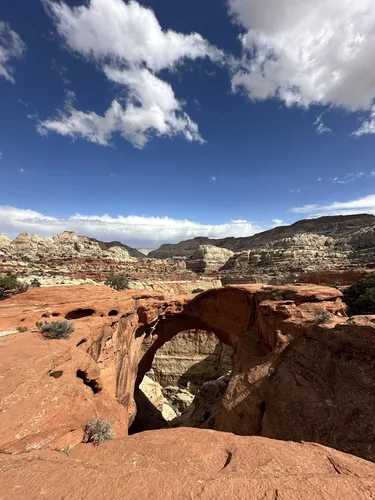 Alltrails capitol shop reef