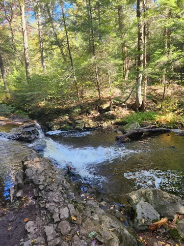 Best 10 Hiking Trails in Ricketts Glen State Park | AllTrails