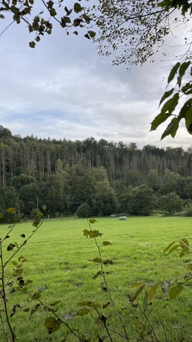 NaturZeitReise 4 - Verborgene Zeitzeichen