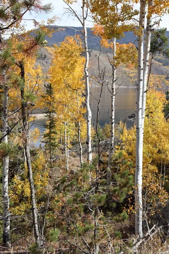 Best Hikes and Trails in Arapaho National Recreation Area AllTrails