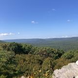 Pole Steeple Trail, Pennsylvania - 921 Reviews, Map | AllTrails