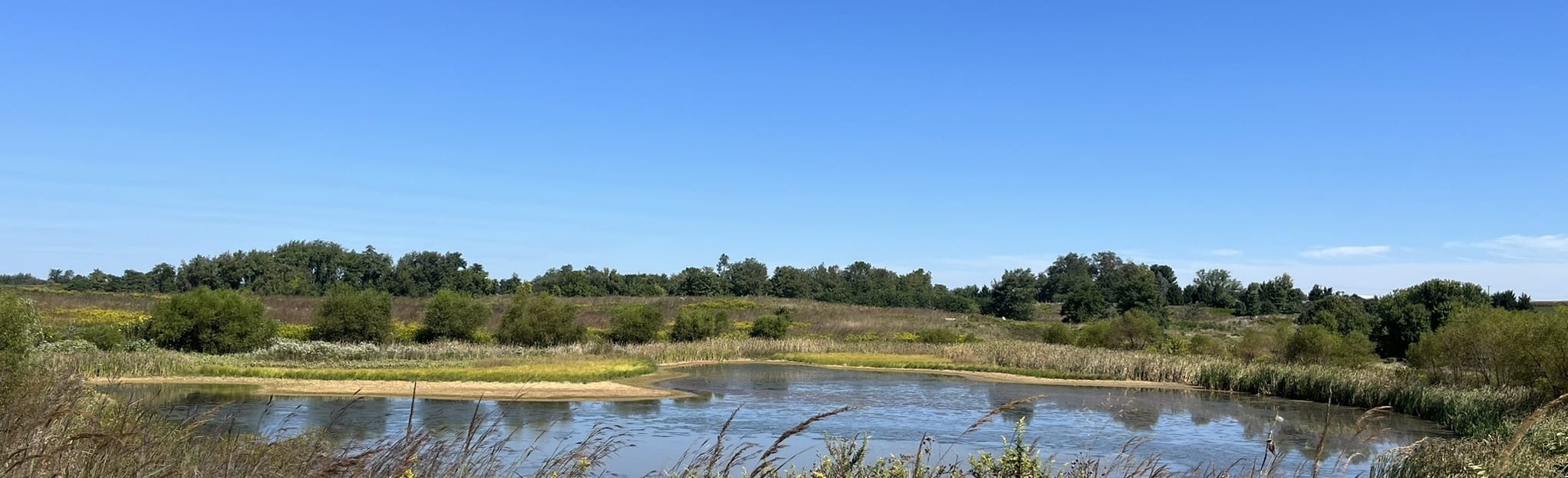 Turkey Hill and Chestnut Grove Trail Loop 480 foto's Pennsylvania