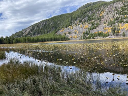 Harlequin lake clearance yellowstone