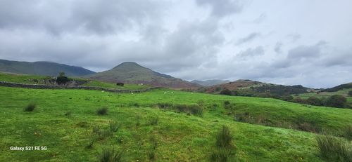 Photos of Low Moor Wood to Banishead Quarry - Cumbria, England