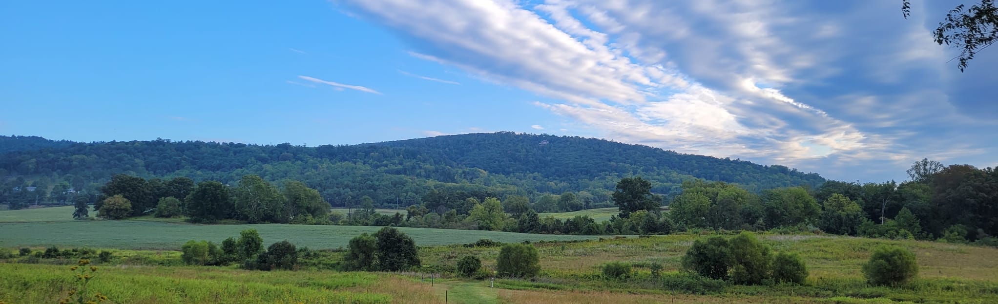 Rolling Meadows Trail, Virginia 292 Reviews, Map AllTrails