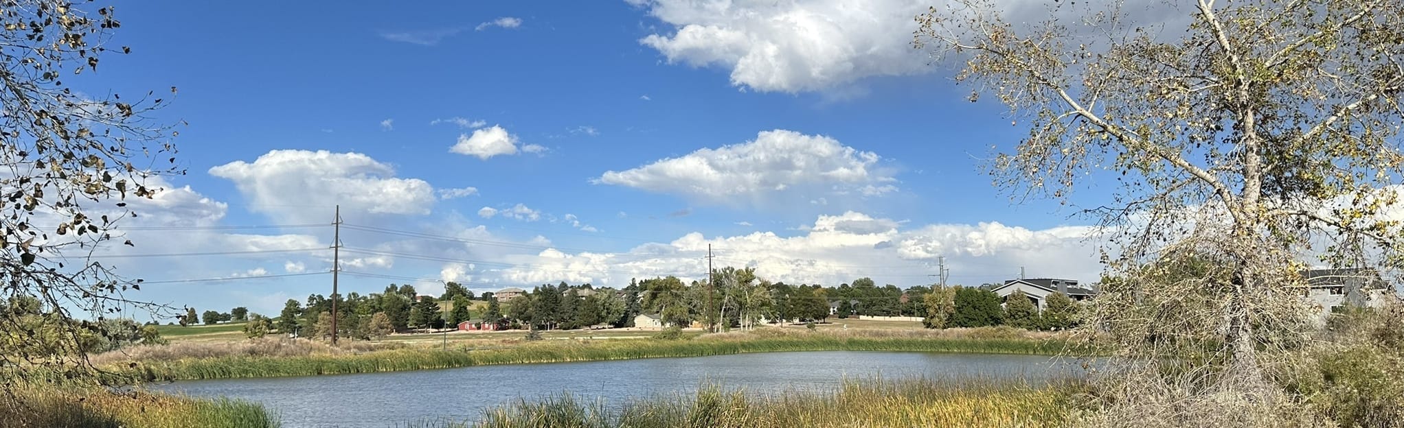 Harriman Lake Trail 595 Reviews, Map Colorado AllTrails