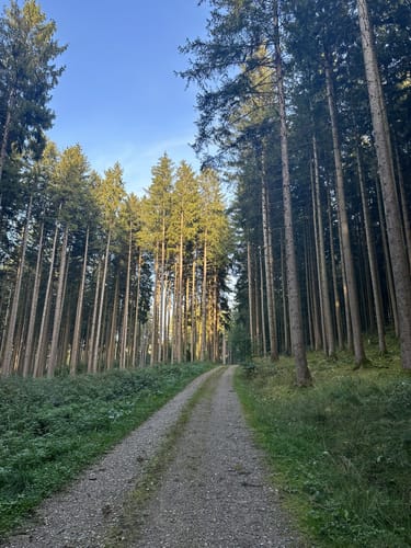 Kleine Leitenberg Runde