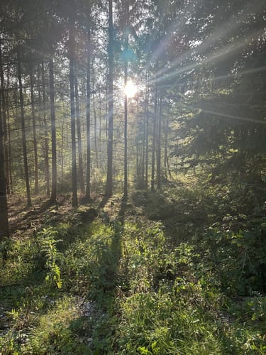 Kleine Leitenberg Runde