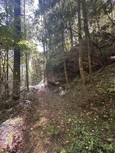 2023 Best No Dogs Trails in Eolia AllTrails