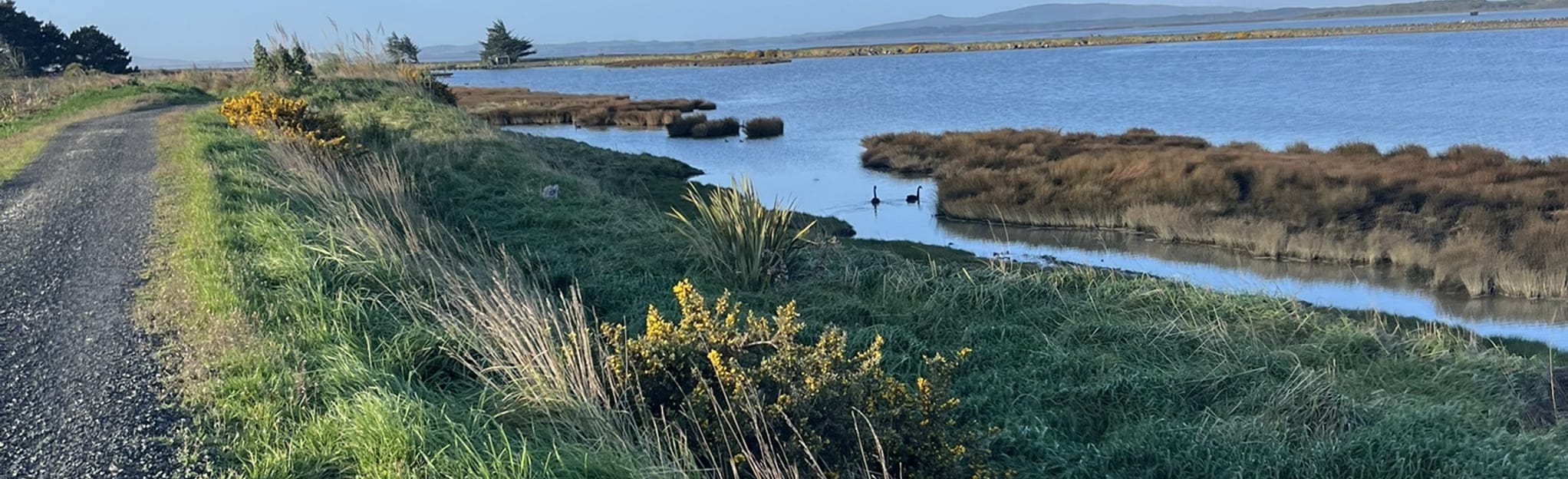 Invercargill Estuary Walkway, Southland, New Zealand 42 Reviews, Map AllTrails