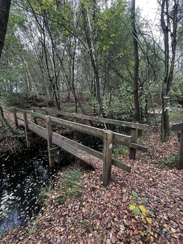 Provinzialmoor und Fullener Wald