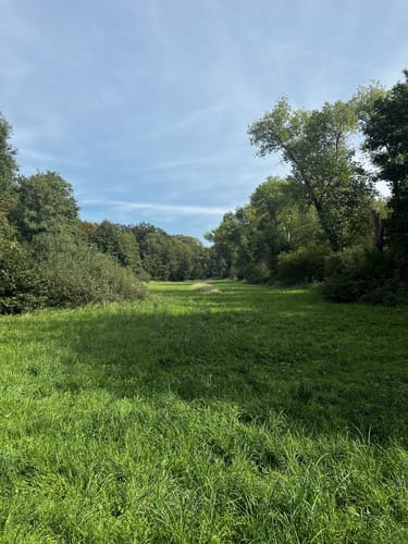 Von Dudenhofen durch den Speyrer Wald