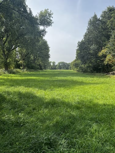 Von Dudenhofen durch den Speyrer Wald